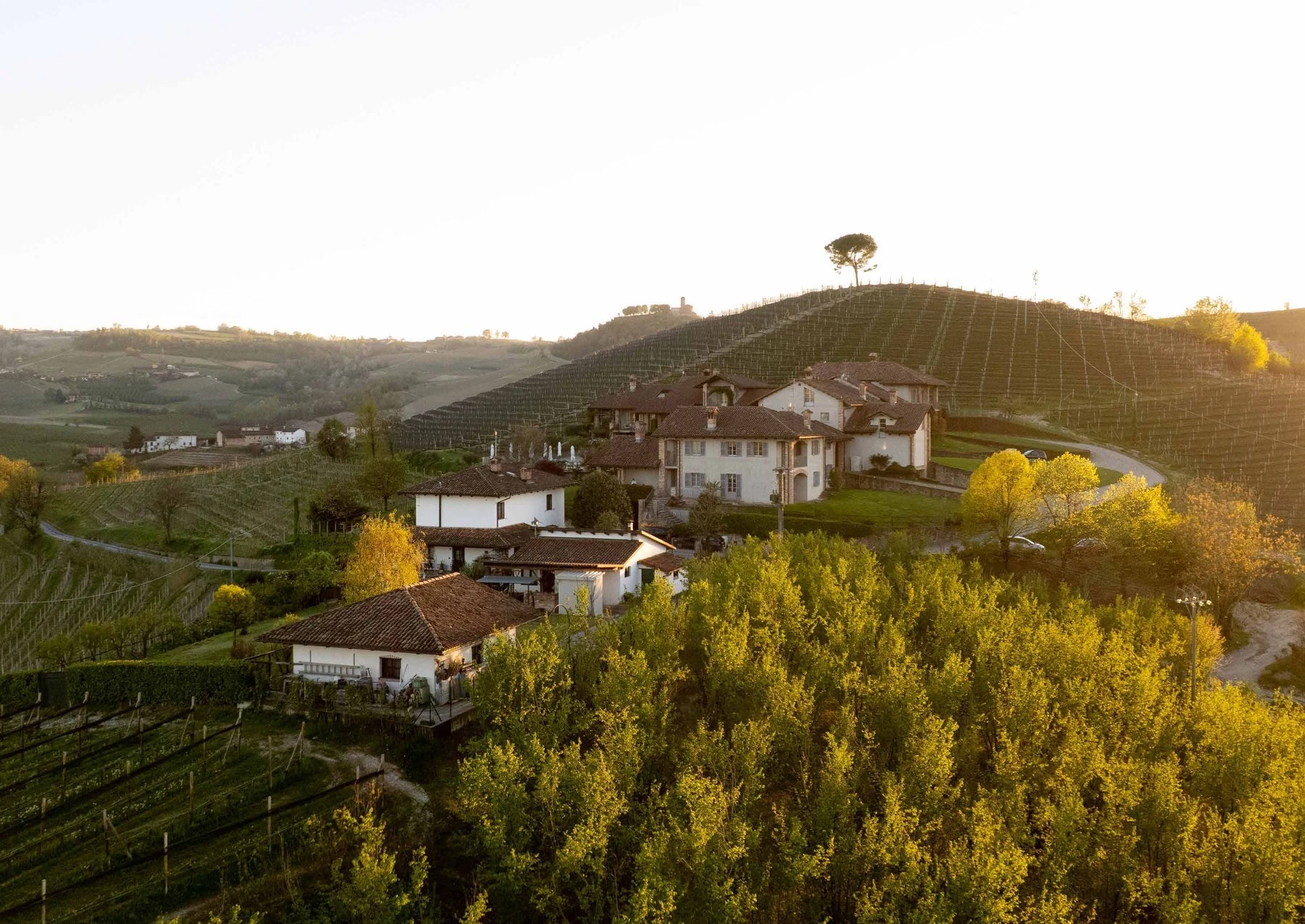 Scarpa Villas среди виноградников Monvigliero